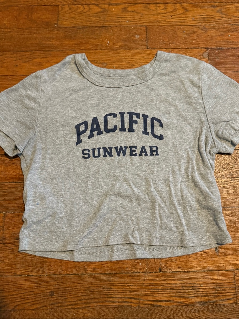 PacSun Gray Cropped Tee w/ Logo Title